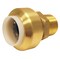 Apollo 1/2 in. IPS Push-To-Connect x 1/2 in. CTS Brass Male Pipe Thread Adapter FSBIPSMA12 - alternate 3